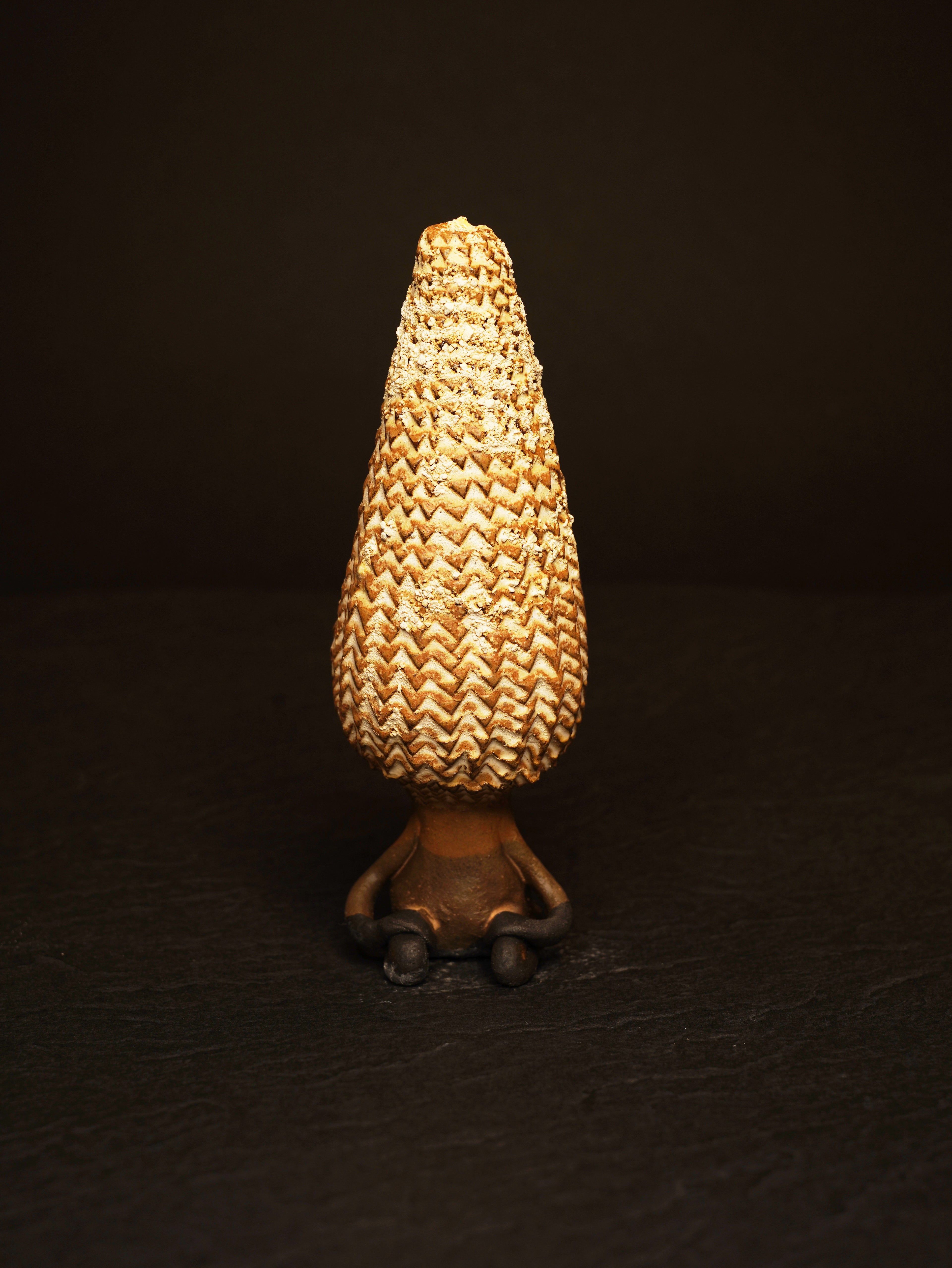 プラネトイド茶会客人