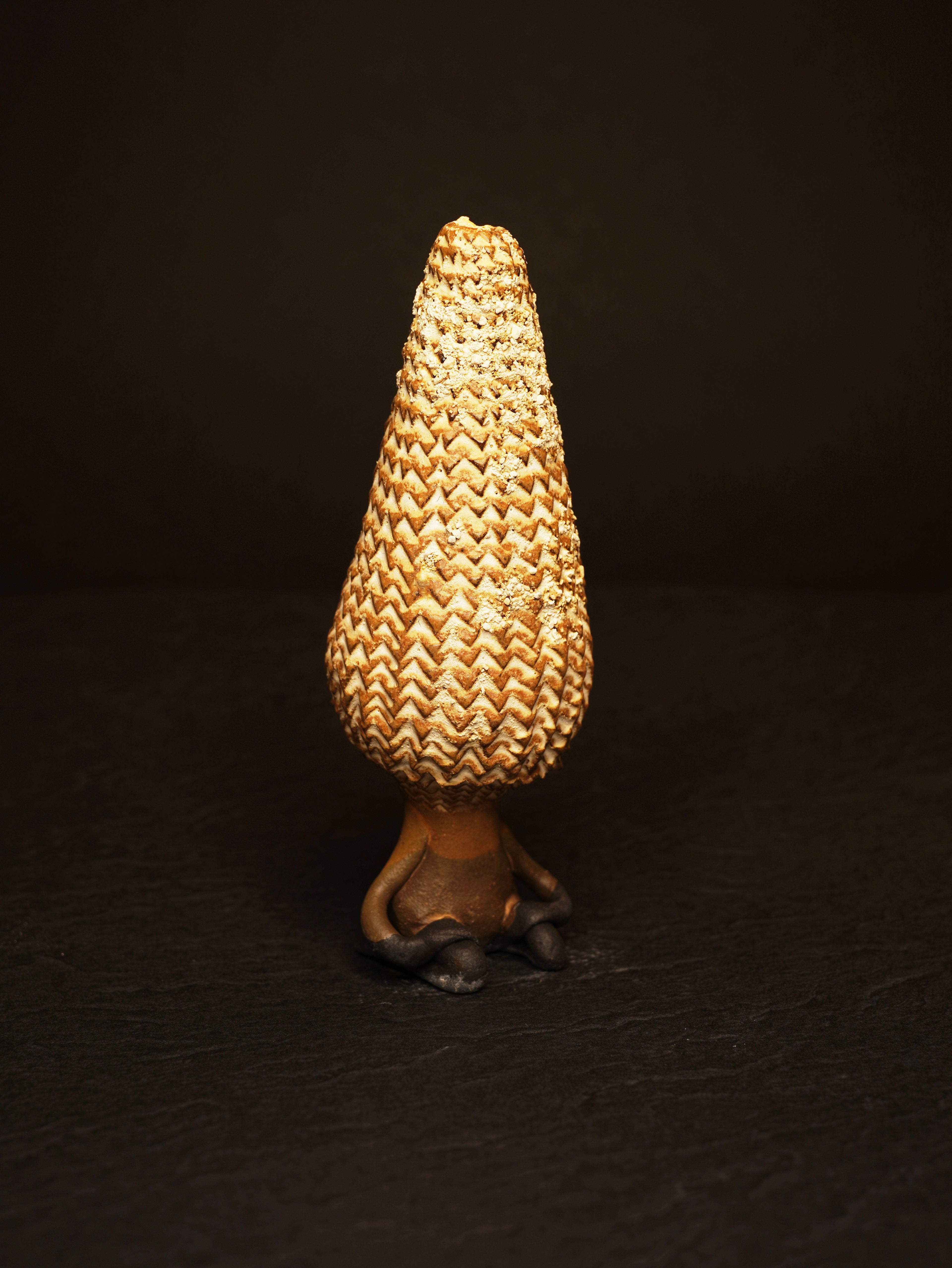 プラネトイド茶会客人