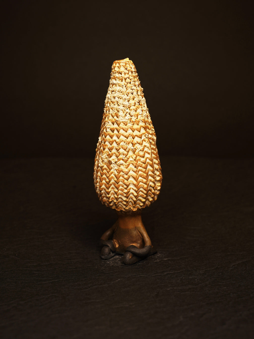 プラネトイド茶会客人