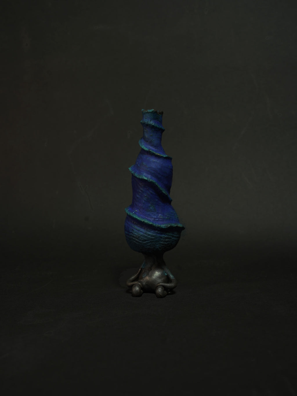 天王星茶会客人のサビーニョ（碧）2025