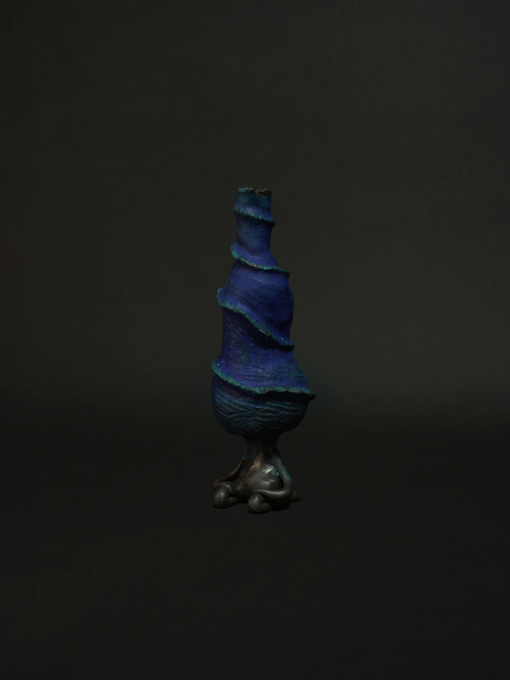 天王星茶会客人のサビーニョ（碧）2025