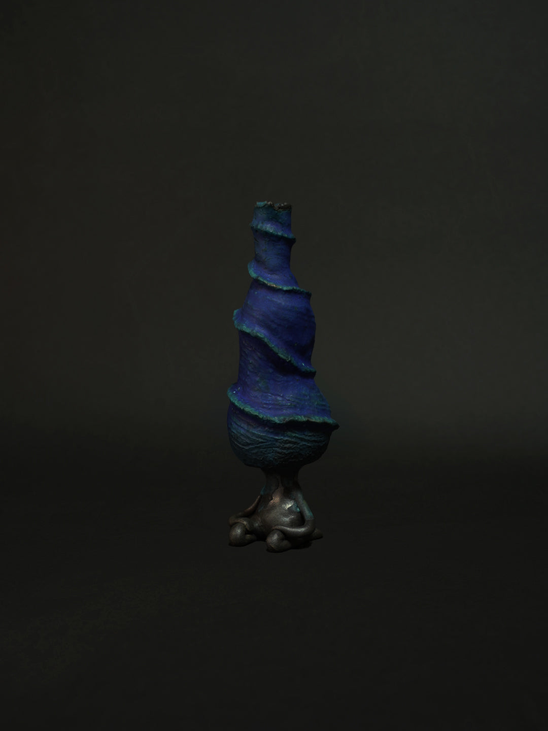 天王星茶会客人のサビーニョ（碧）2025