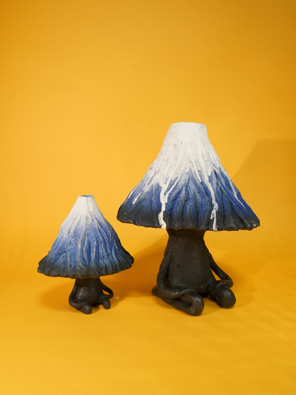 Mr.Mountain FUJ (Large)