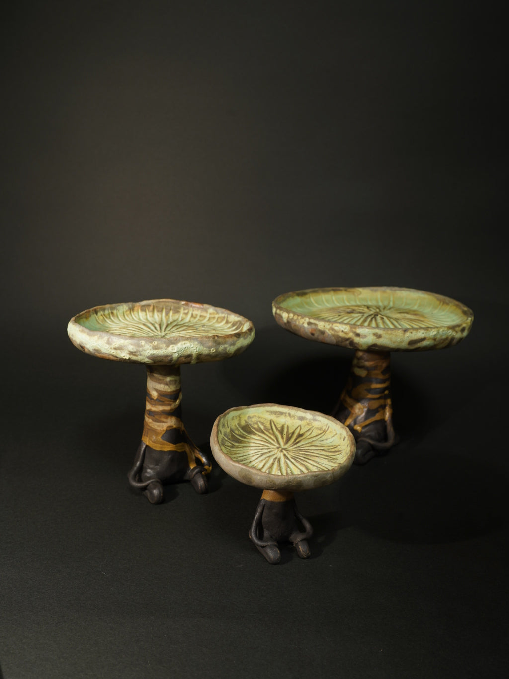 水星茶会客人ーハスの葉のサラーニョ（小）2025