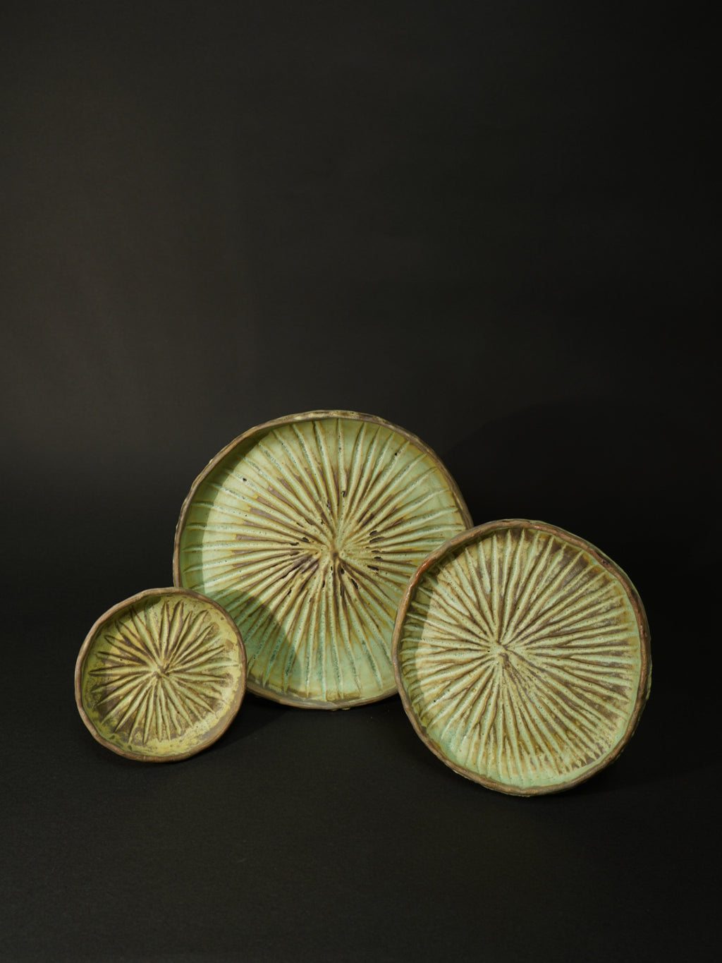 水星茶会客人ーハスの葉のサラーニョ（小）2025