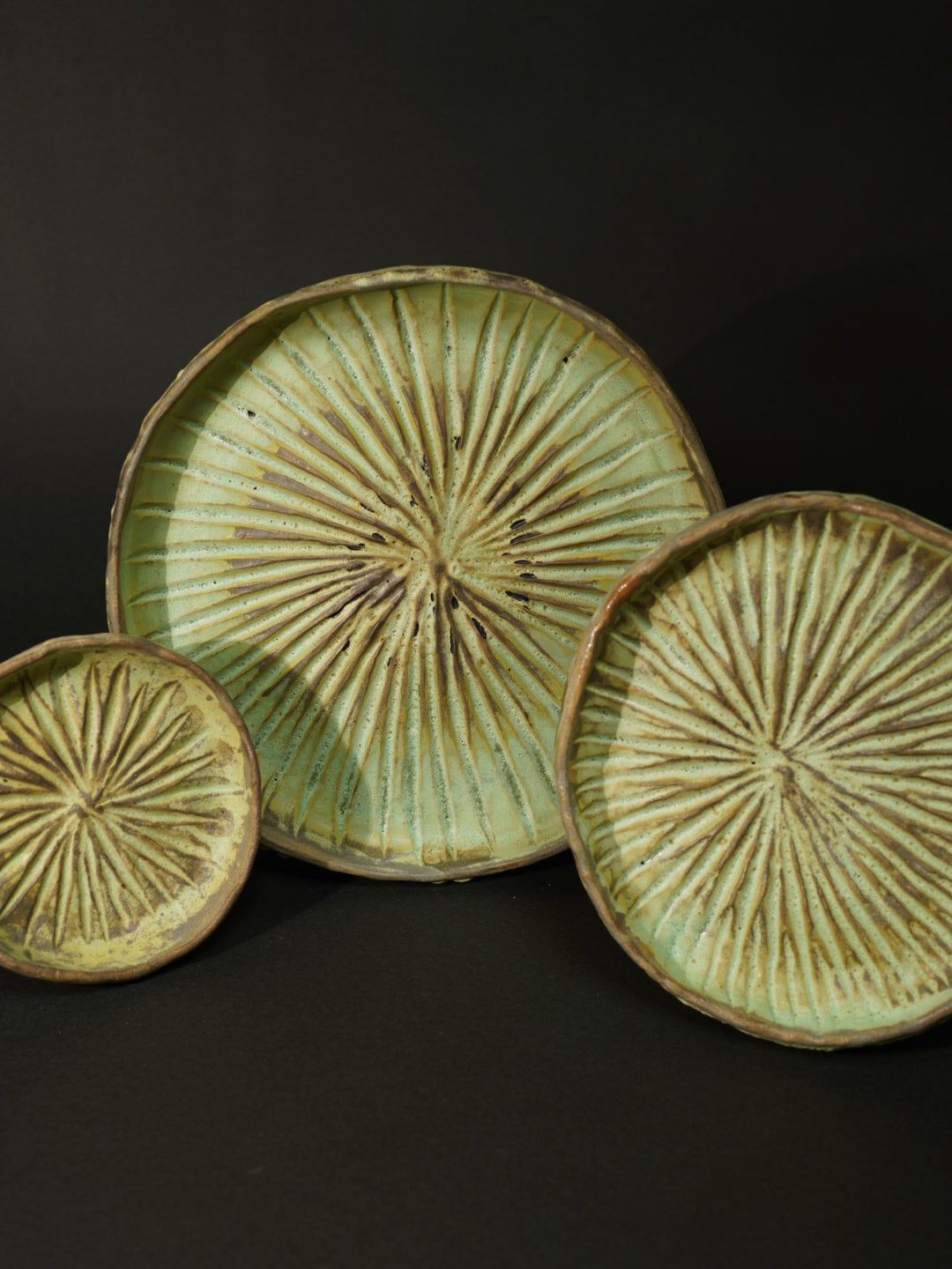 水星茶会客人ーハスの葉のサラーニョ（小）2025