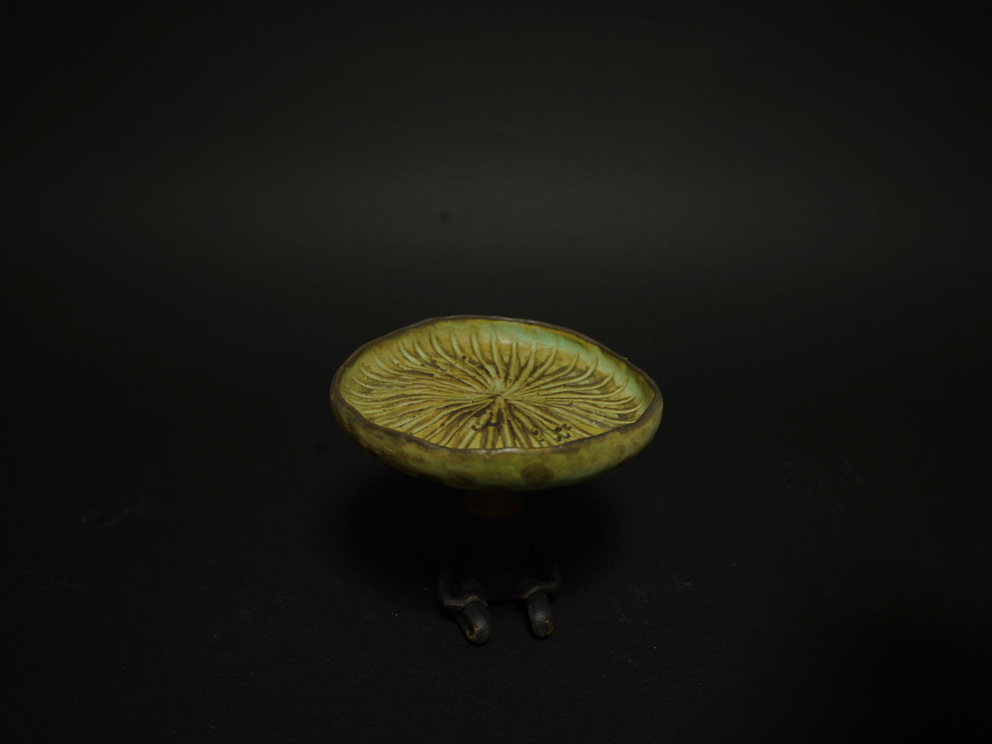 水星茶会客人ーハスの葉のサラーニョ（小）2025