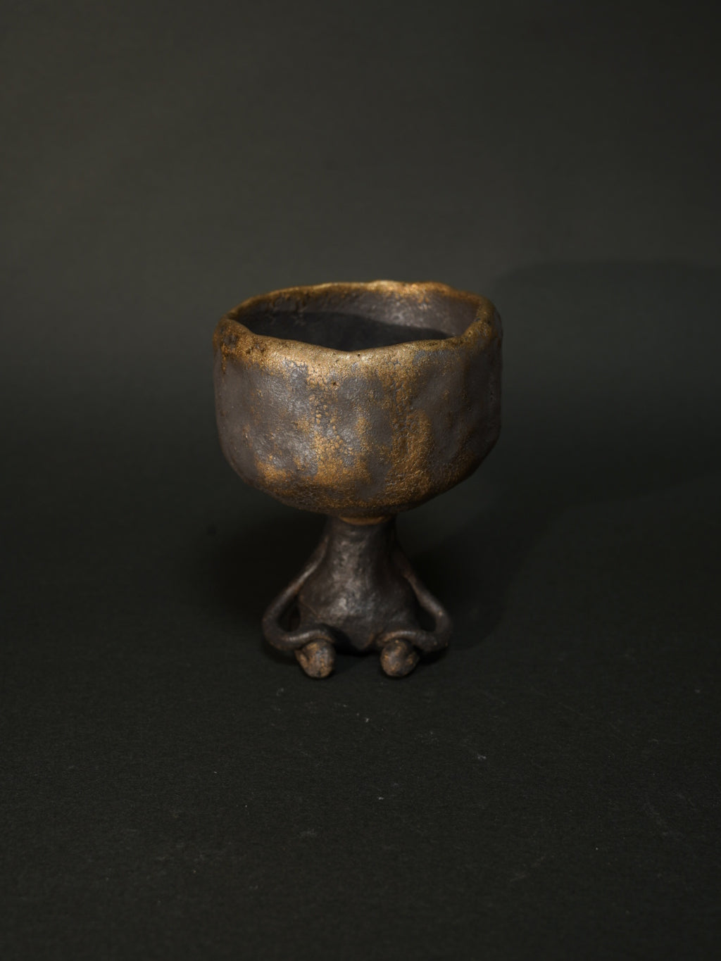 金星のワビーニョ（金黒）2025