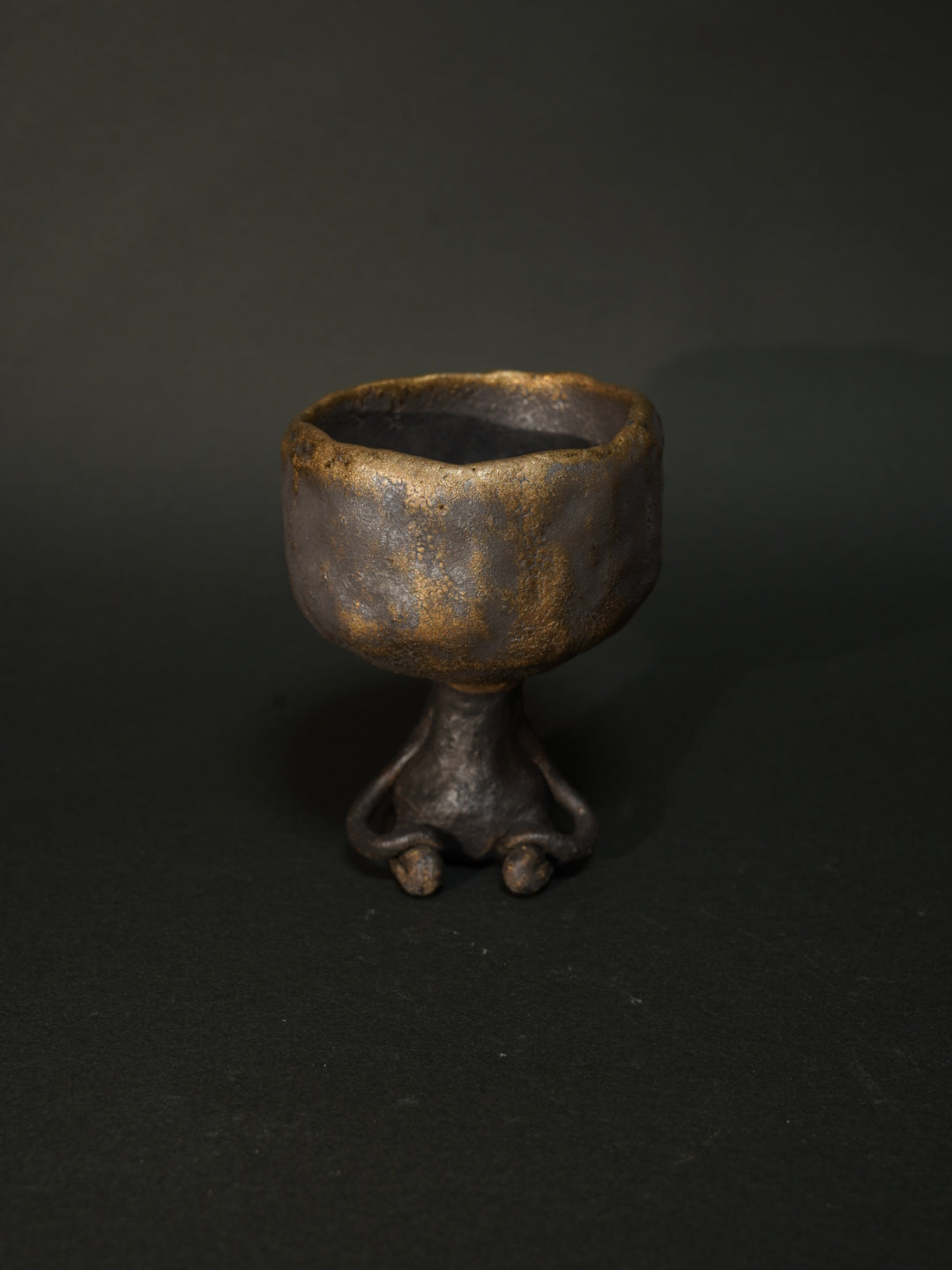 金星のワビーニョ（金黒）2025