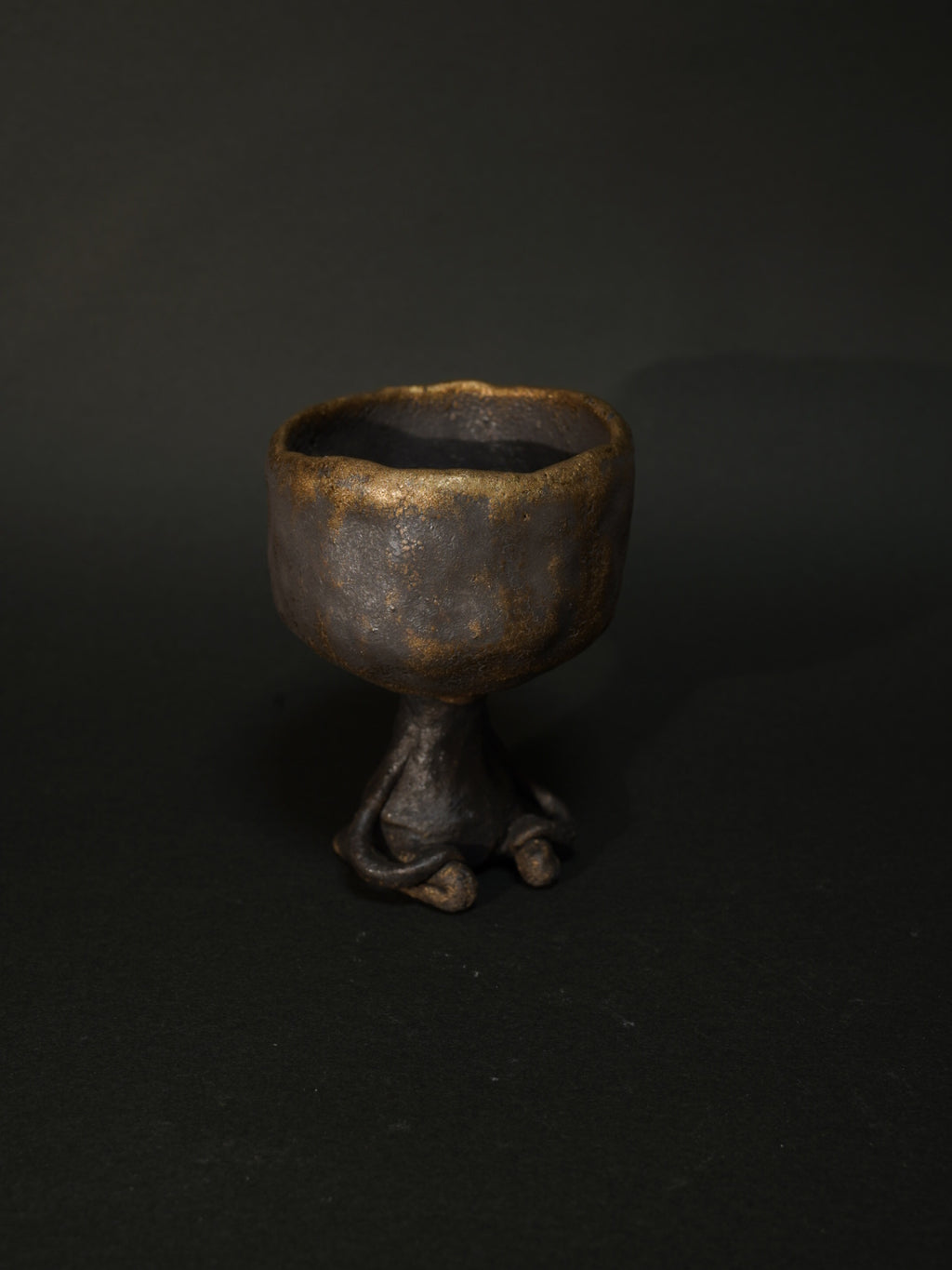 金星のワビーニョ（金黒）2025