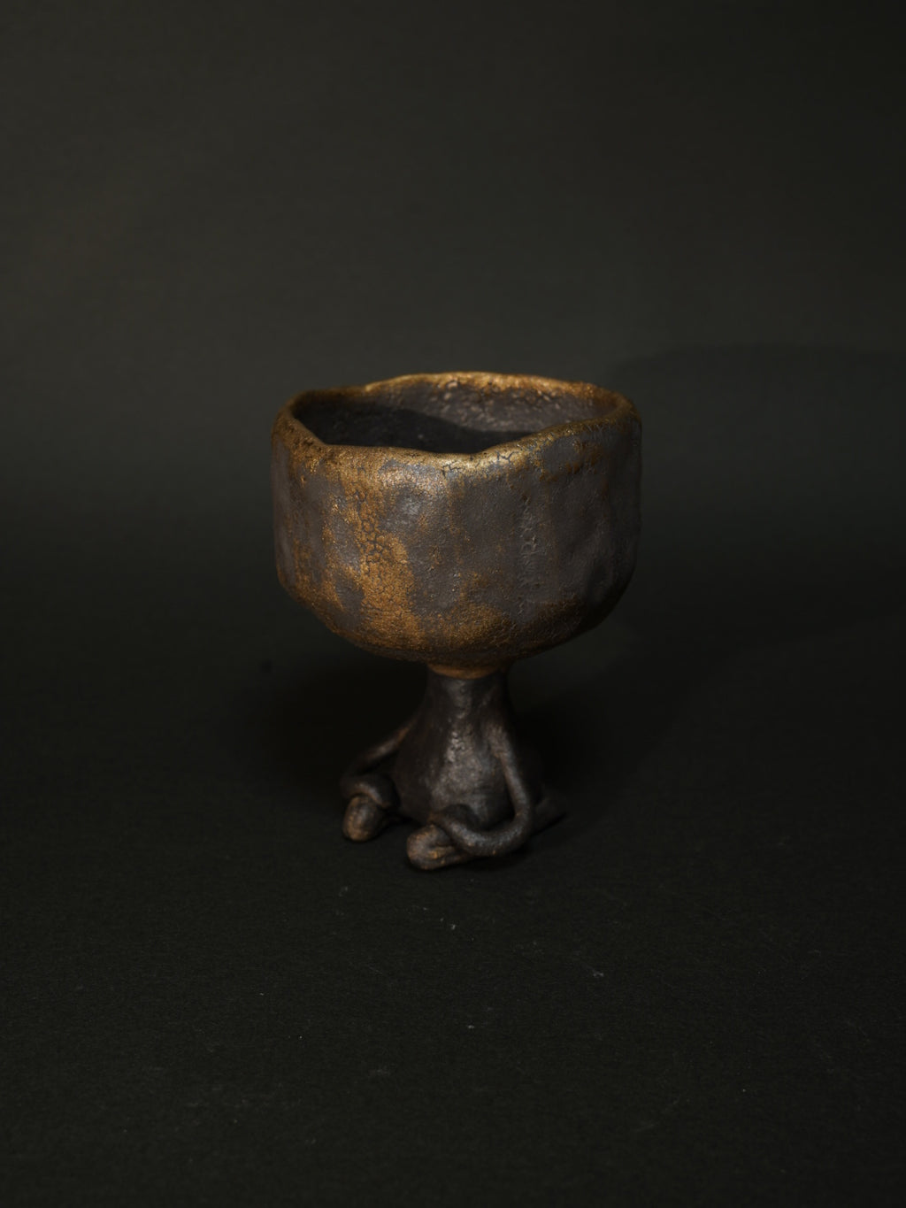 金星のワビーニョ（金黒）2025