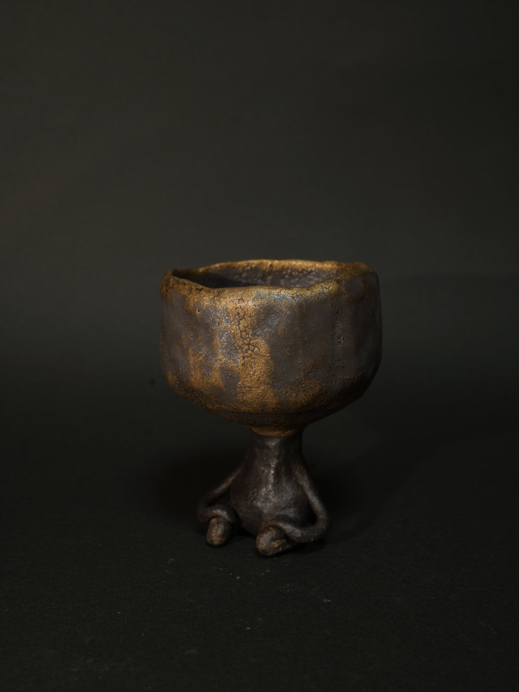 金星のワビーニョ（金黒）2025