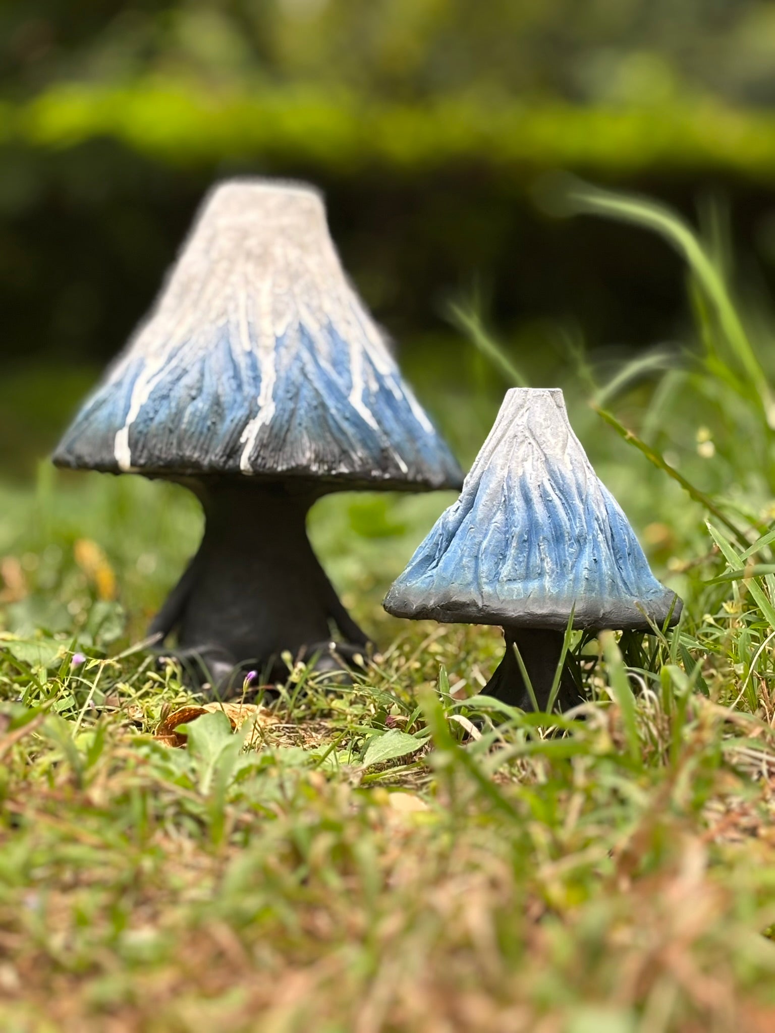 Mr.Mountain FUJ (Large)