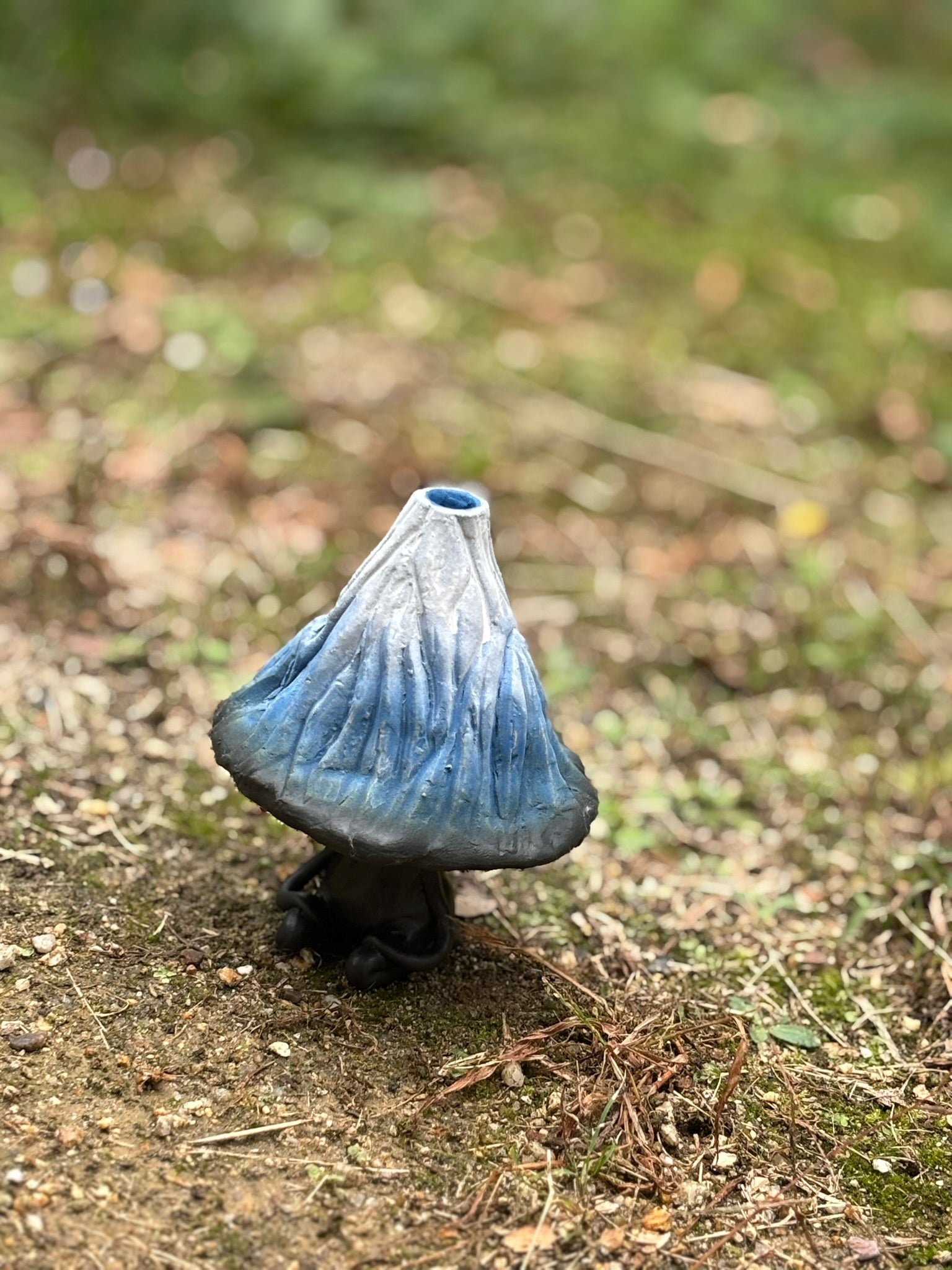 Mr.Mountain FUJI  2025.10  (one for all for one for all)