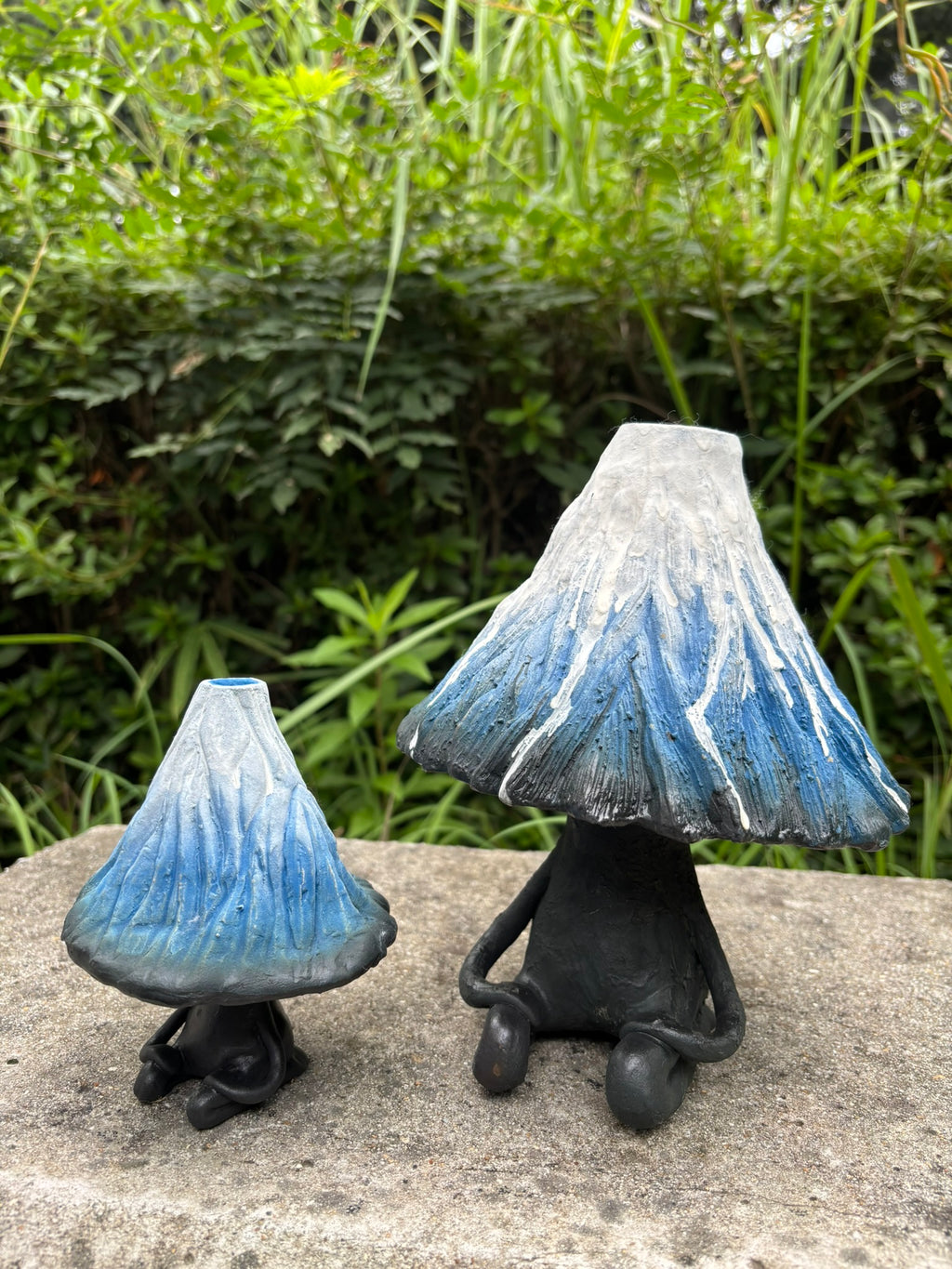 Mr.Mountain FUJ (Large)