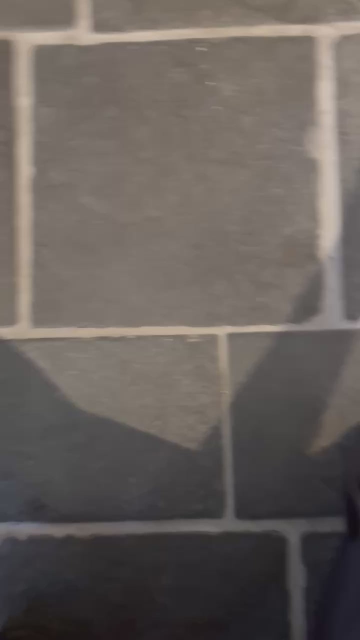 Phoenix Flame Vessel